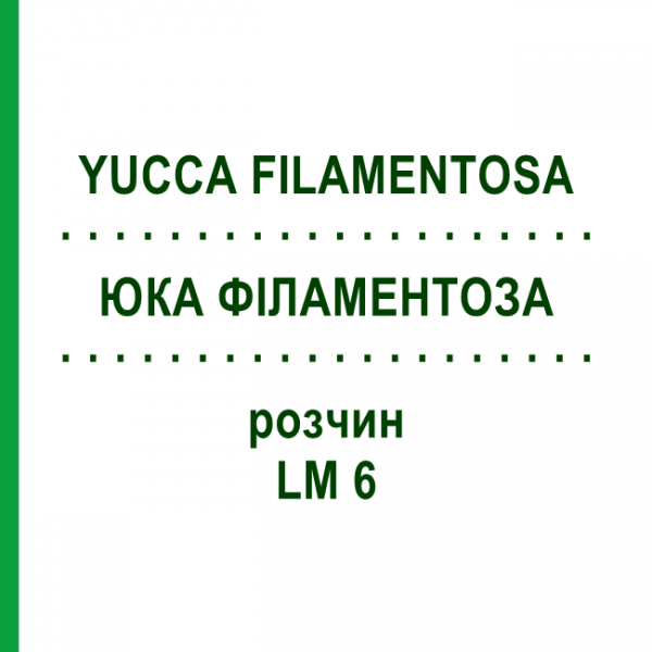 ЮККА ФИЛАМЕНТОЗА (YUCCA FILAMENTOSA) LM 6 раствор 10 мл - Гомеопатия ARCANA DR.SEWERIN
