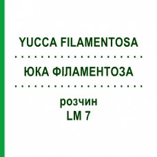 ЮККА ФИЛАМЕНТОЗА (YUCCA FILAMENTOSA) LM 7 раствор 10 мл - Гомеопатия ARCANA DR.SEWERIN