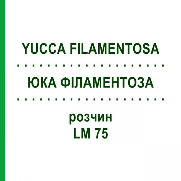ЮККА ФИЛАМЕНТОЗА (YUCCA FILAMENTOSA) LM 75 раствор 10 мл - Гомеопатия ARCANA DR.SEWERIN
