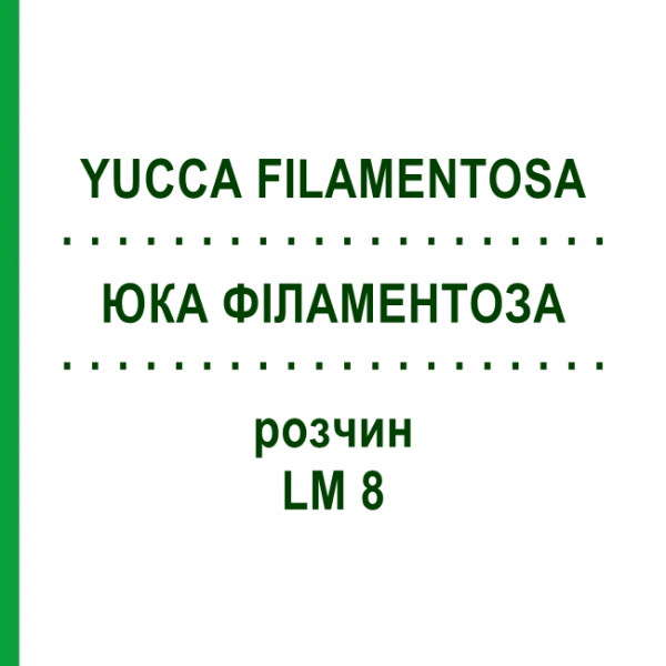 ЮККА ФИЛАМЕНТОЗА (YUCCA FILAMENTOSA) LM 8 раствор 10 мл - Гомеопатия ARCANA DR.SEWERIN