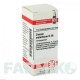 ЦИНКУМ МЕТАЛЛИКУМ (ZINCUM METALLICUM) D 30 глобули 10 г - Гомеопатия DHU