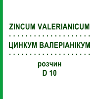 ЦИНКУМ ВАЛЕРИАНИКУМ (ZINCUM VALERIANICUM) D 10 раствор 50 мл - Гомеопатия DHU