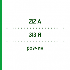 ЗИЗИЯ (ZIZIA) раствор 50 мл - Гомеопатия DHU