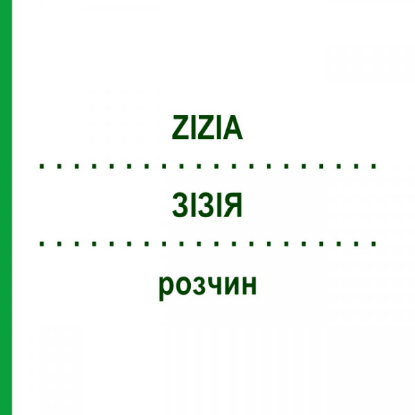 ЗИЗИЯ (ZIZIA) раствор 50 мл - Гомеопатия DHU