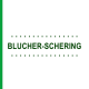 Препараты BLUCHER-SCHERING