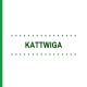 Препараты KATTWIGA