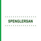 Препараты SPENGLERSAN